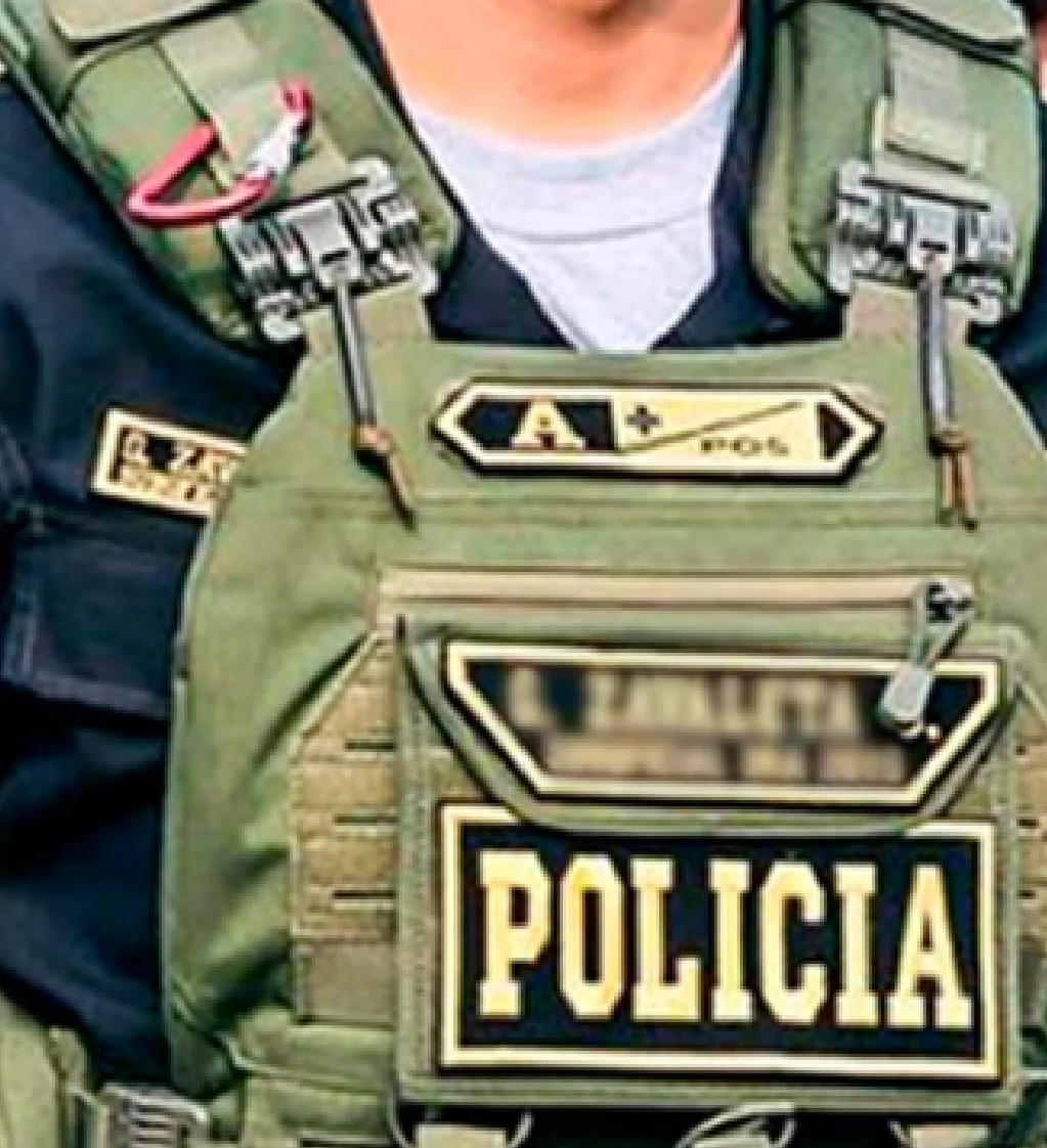 Seguridad Electrónica